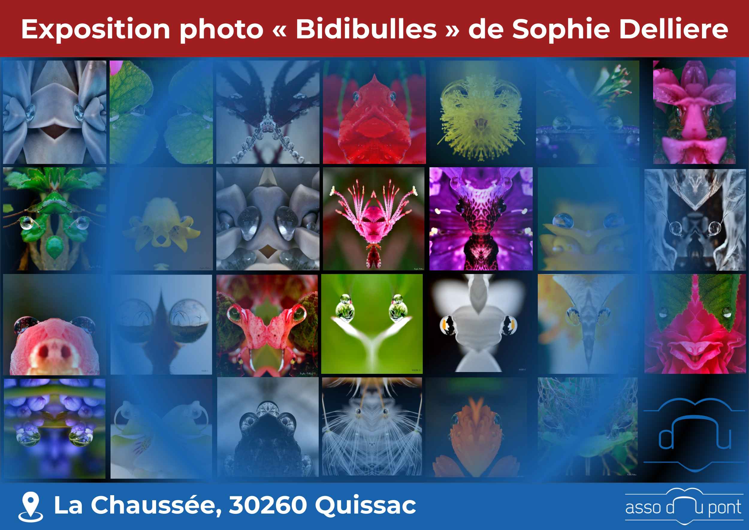 EXPO « Bidibulles » de Sophie Delliere